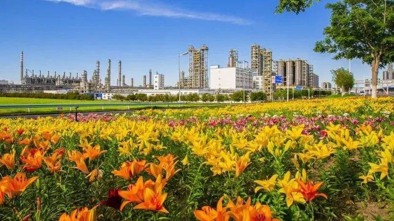 广州化工原料市场的机遇与挑战**